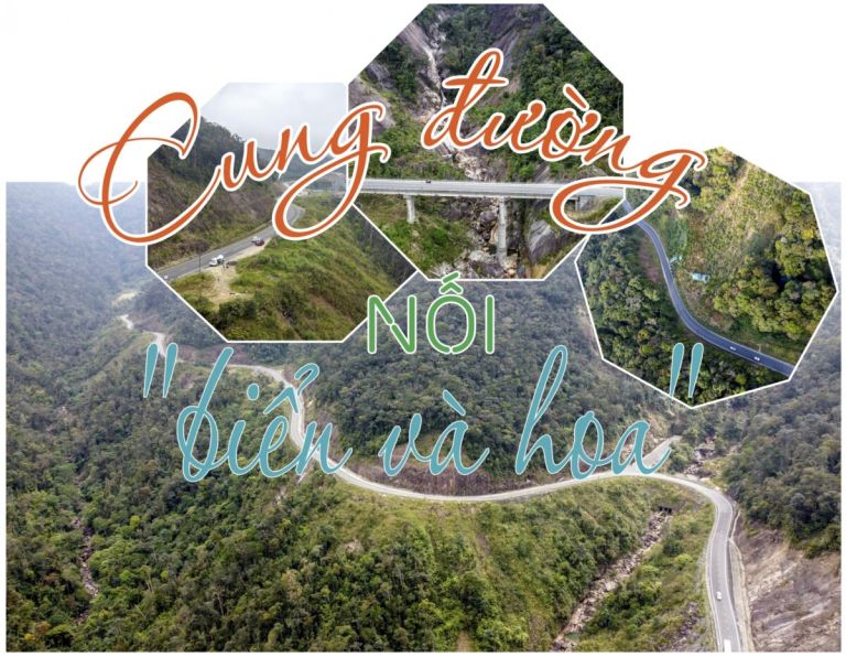 GeNq7Jp8 xuat 1 a 20230411100142